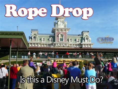 rope drop frozen or test track|rope drop disney world.